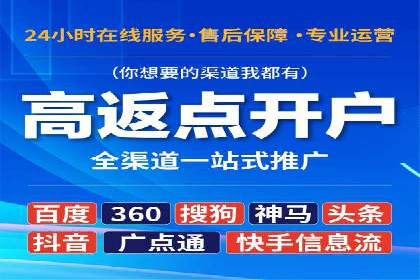 搜索引擎关键词竞价排名的策略调整与案例